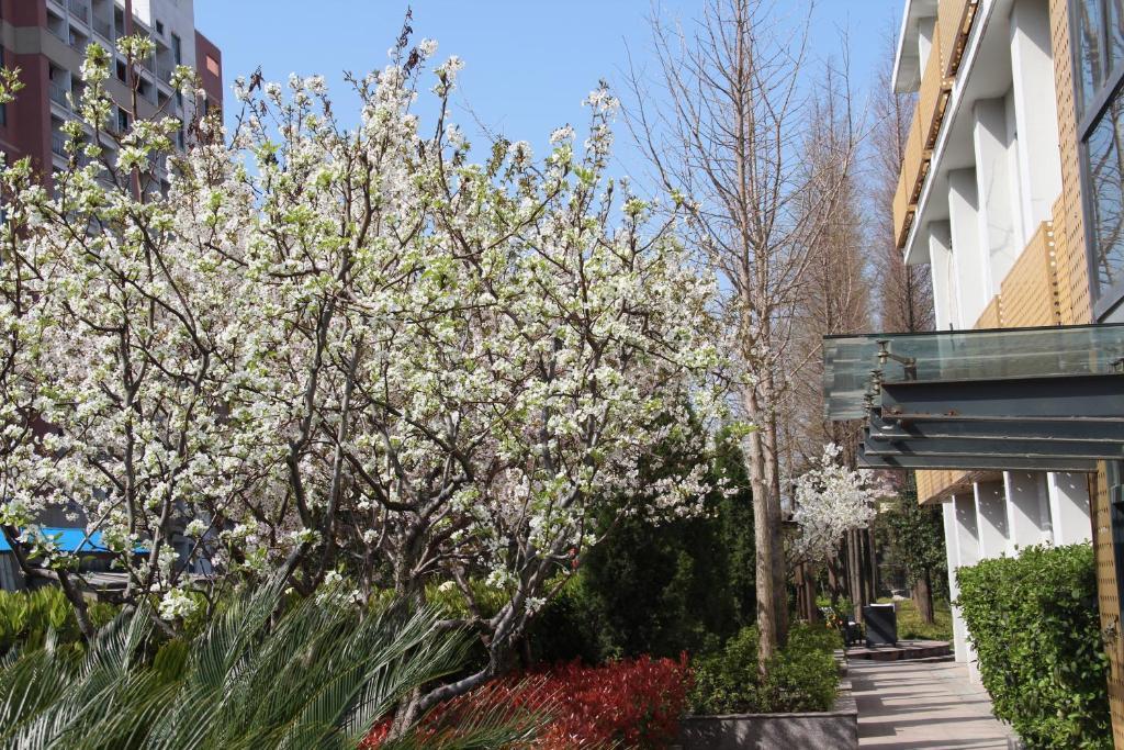 L'Otel Shanghai Exteriör bild